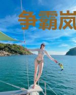 争霸岚缇域