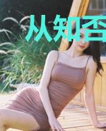 从知否开始当文圣
