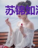 苏锦如沈延风