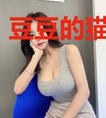 豆豆的猫生波折