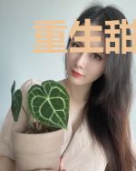 重生甜妻：傅少宠上天