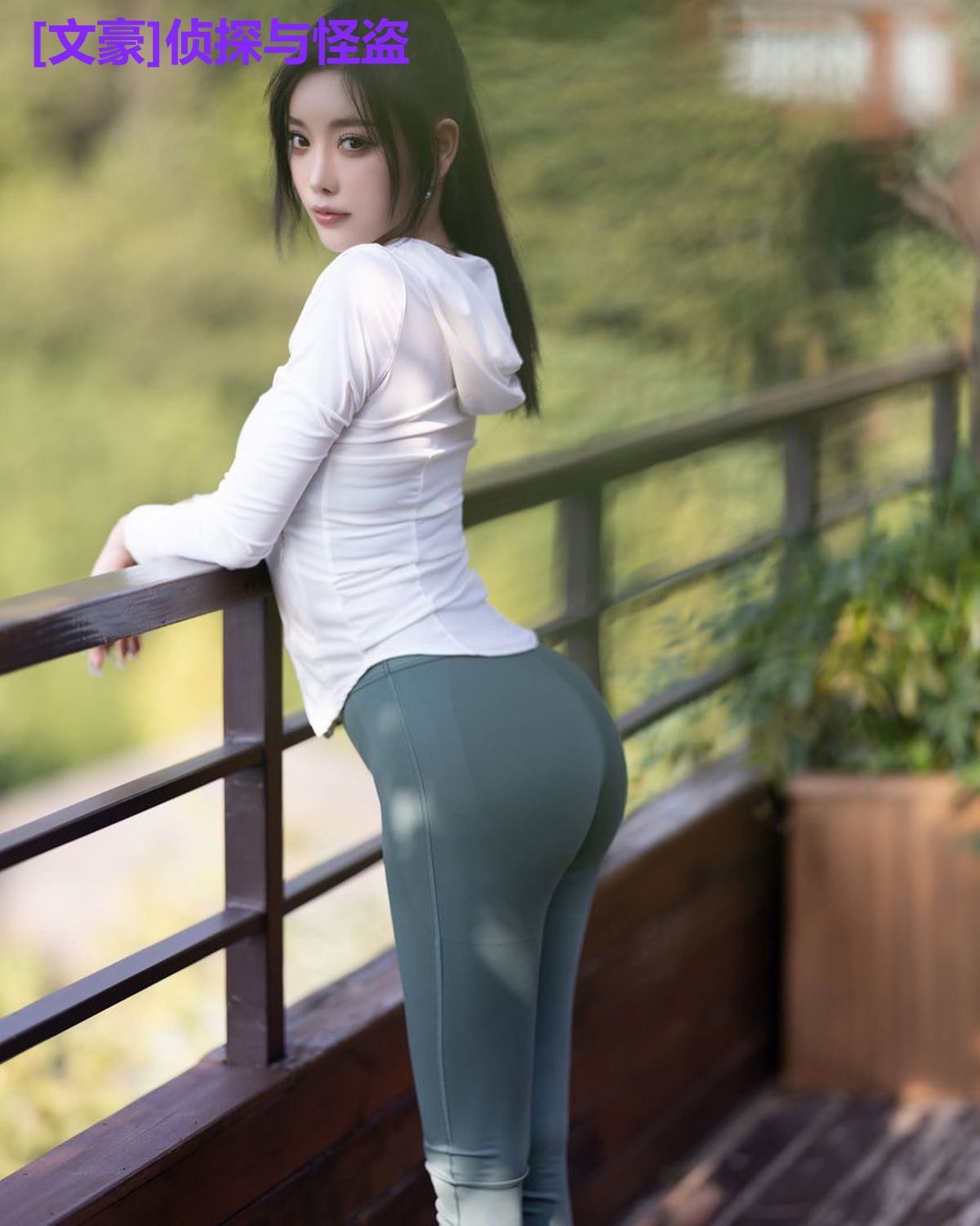 [文豪]侦探与怪盗
