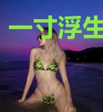 一寸浮生误繁华