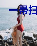 一帚扫天下