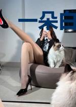 一朵白莲挂墙头白墨莲