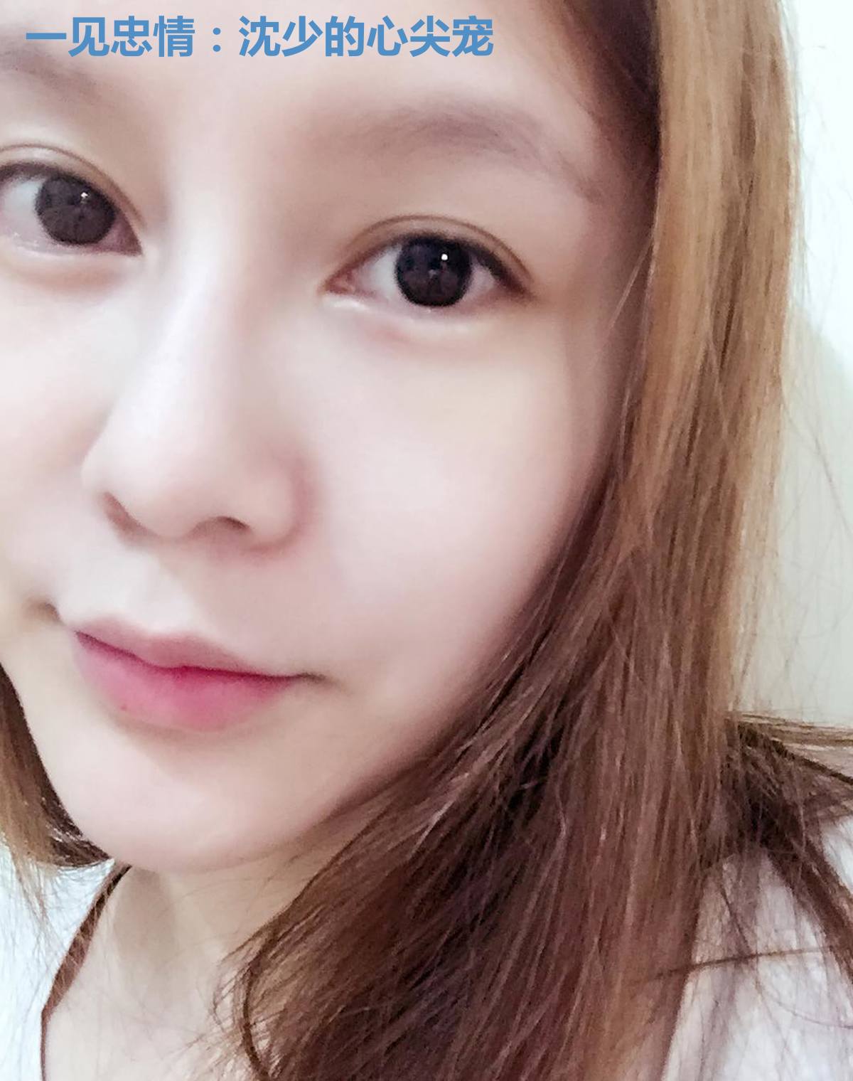 一见忠情：沈少的心尖宠