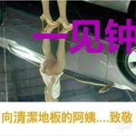 一见钟情:总裁的专属甜心