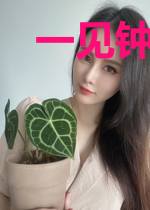 一见钟情:甜妻送上门!