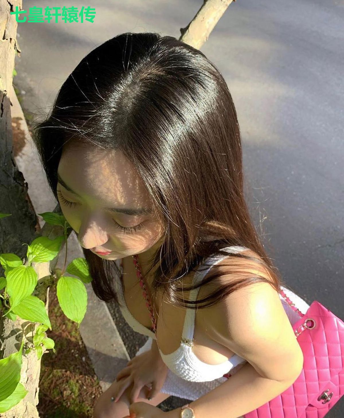 七皇轩辕传