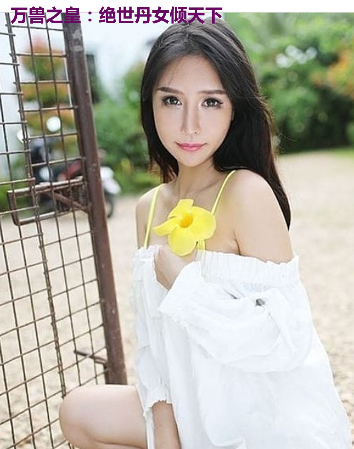 万兽之皇:绝世丹女倾天下