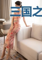 三国之飞将再世