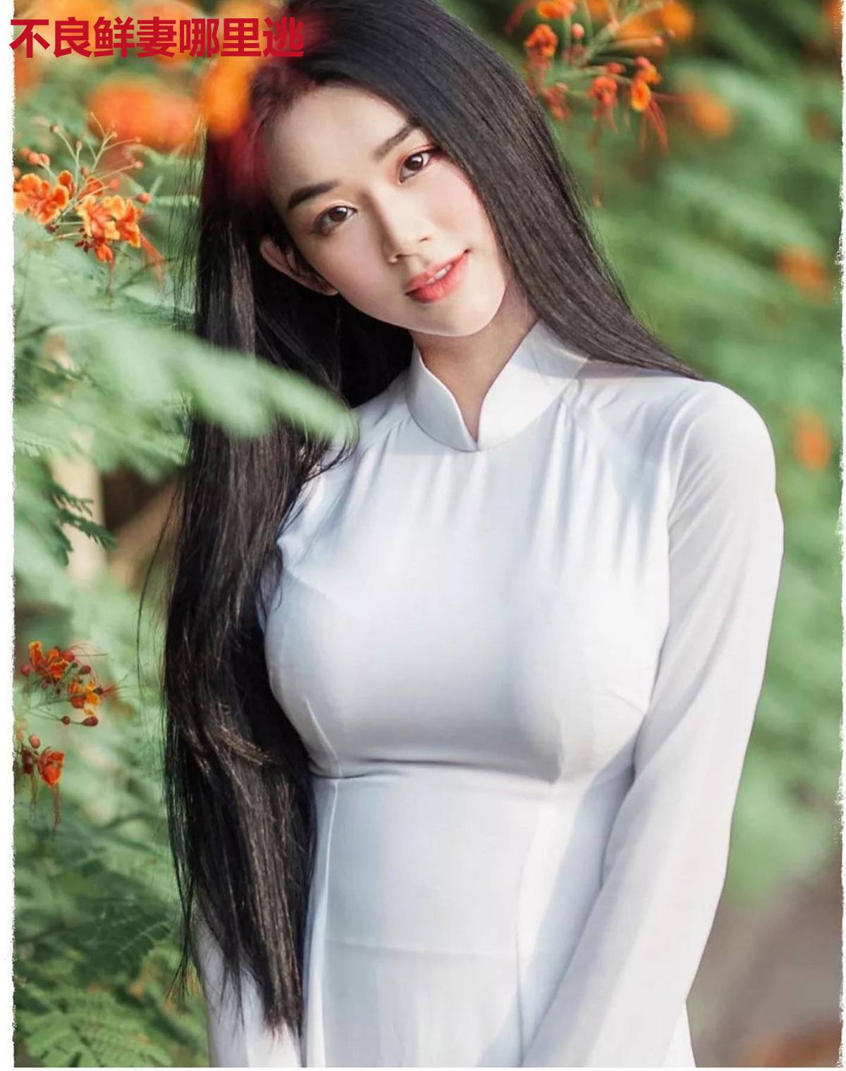 不良鲜妻哪里逃