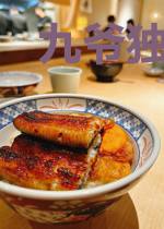 九爷独宠小甜妻