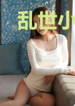 乱世小警察
