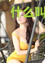 什么叫羁绊型御兽师啊