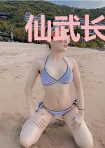 仙武长生劫