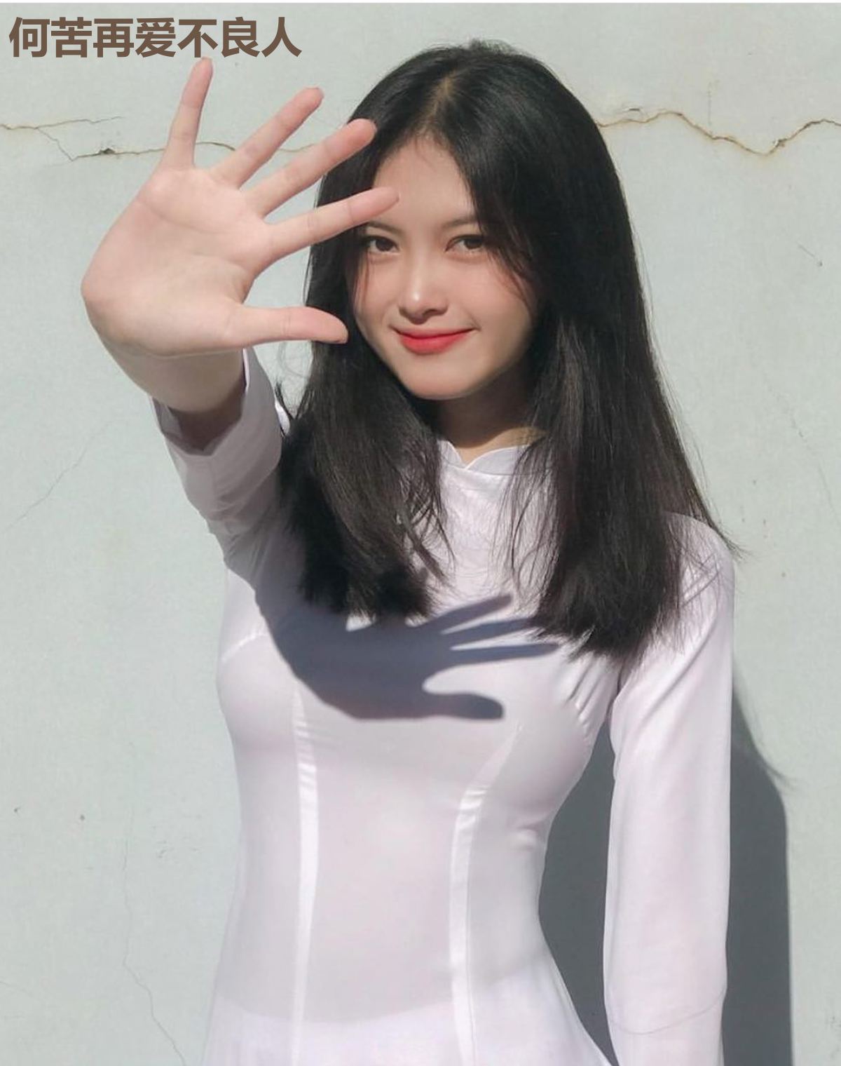 何苦再爱不良人