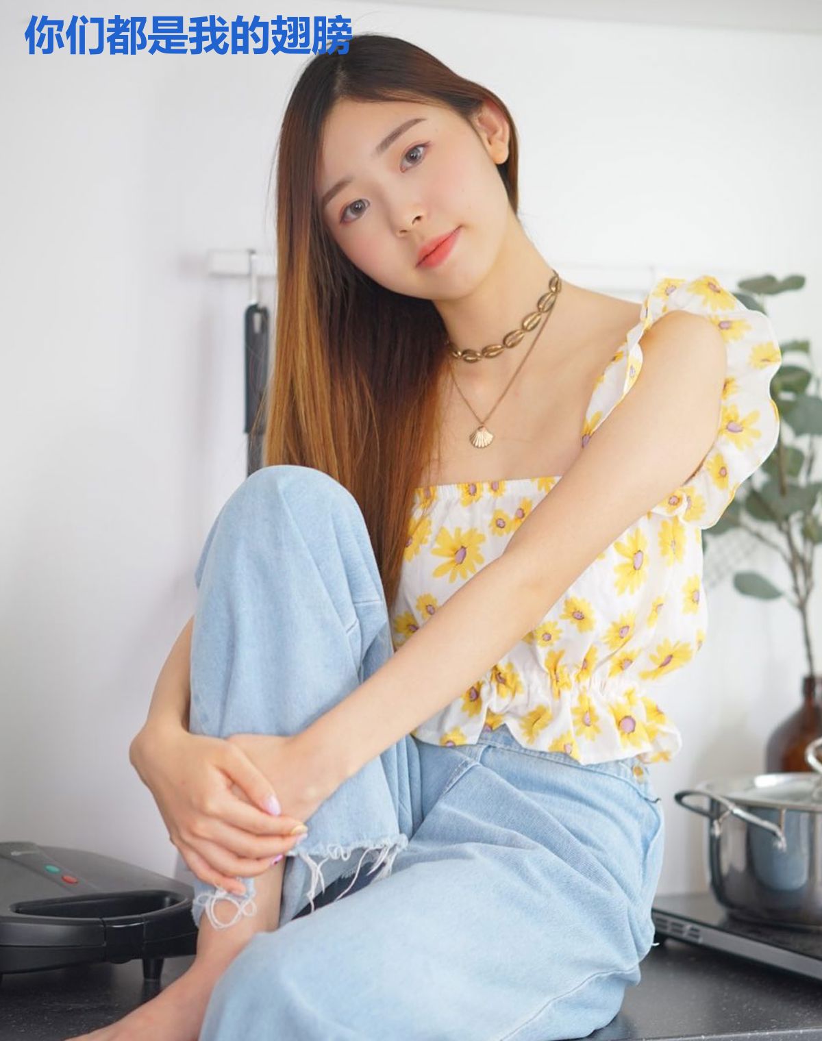 你们都是我的翅膀