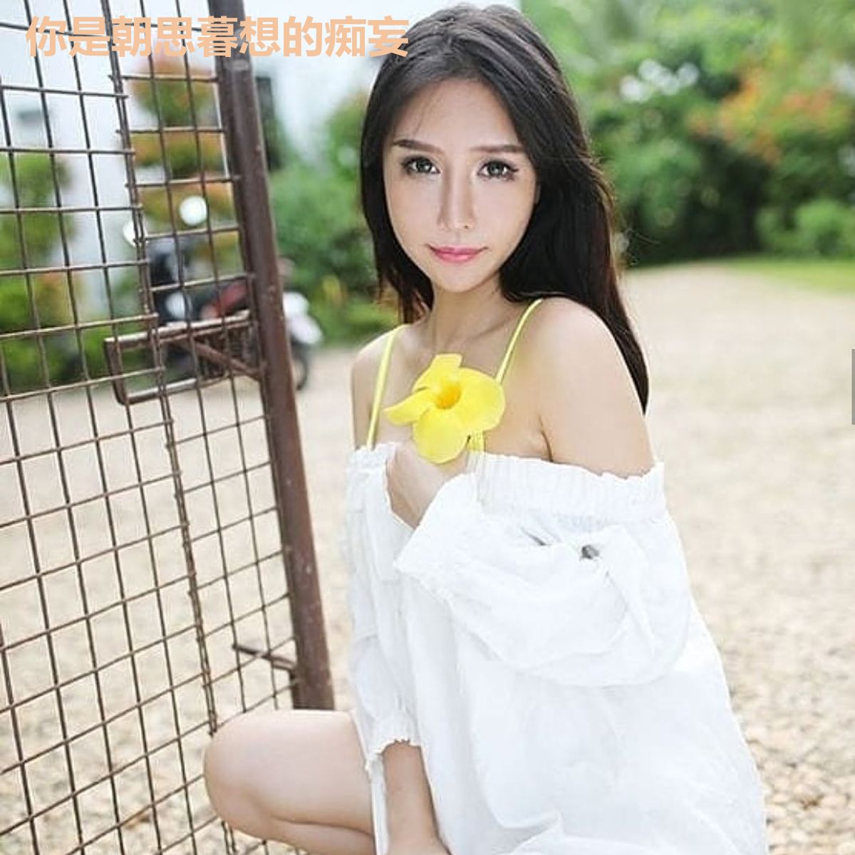 你是朝思暮想的痴妄