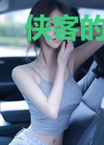 侠客的游戏人生