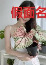 假面名媛,闪婚老公太危险