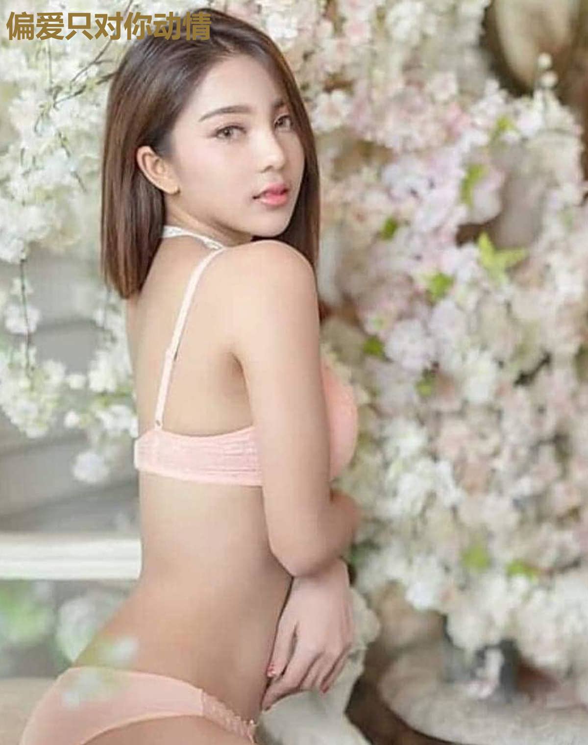 偏爱只对你动情