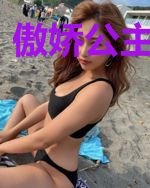 傲娇公主要休夫