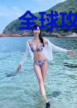 全球攻防战