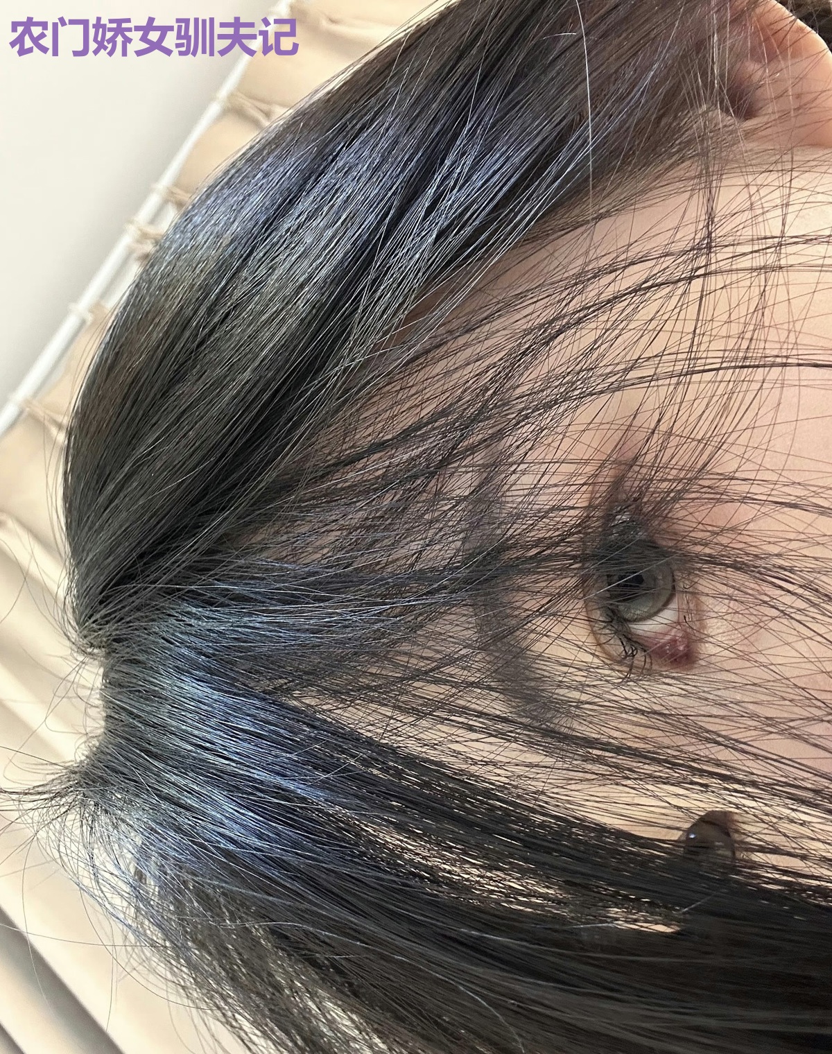 农门娇女驯夫记