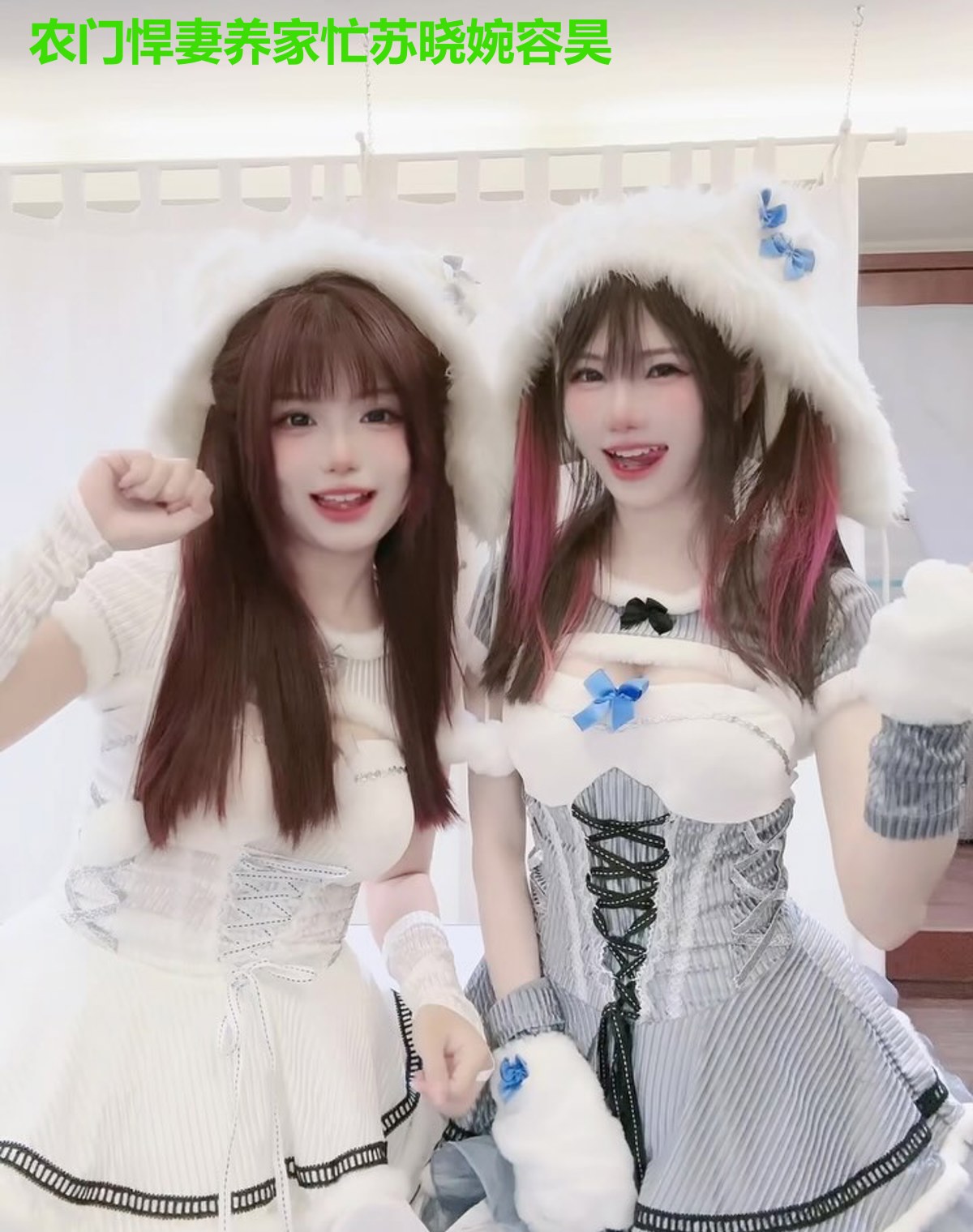 农门悍妻养家忙苏晓婉容昊