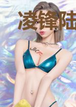 凌锋陆清雅