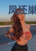 凤还巢：重生之朱门恶女
