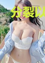分裂以后我征服了世界