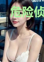 危险侦查员