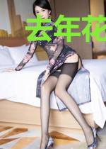 去年花不老