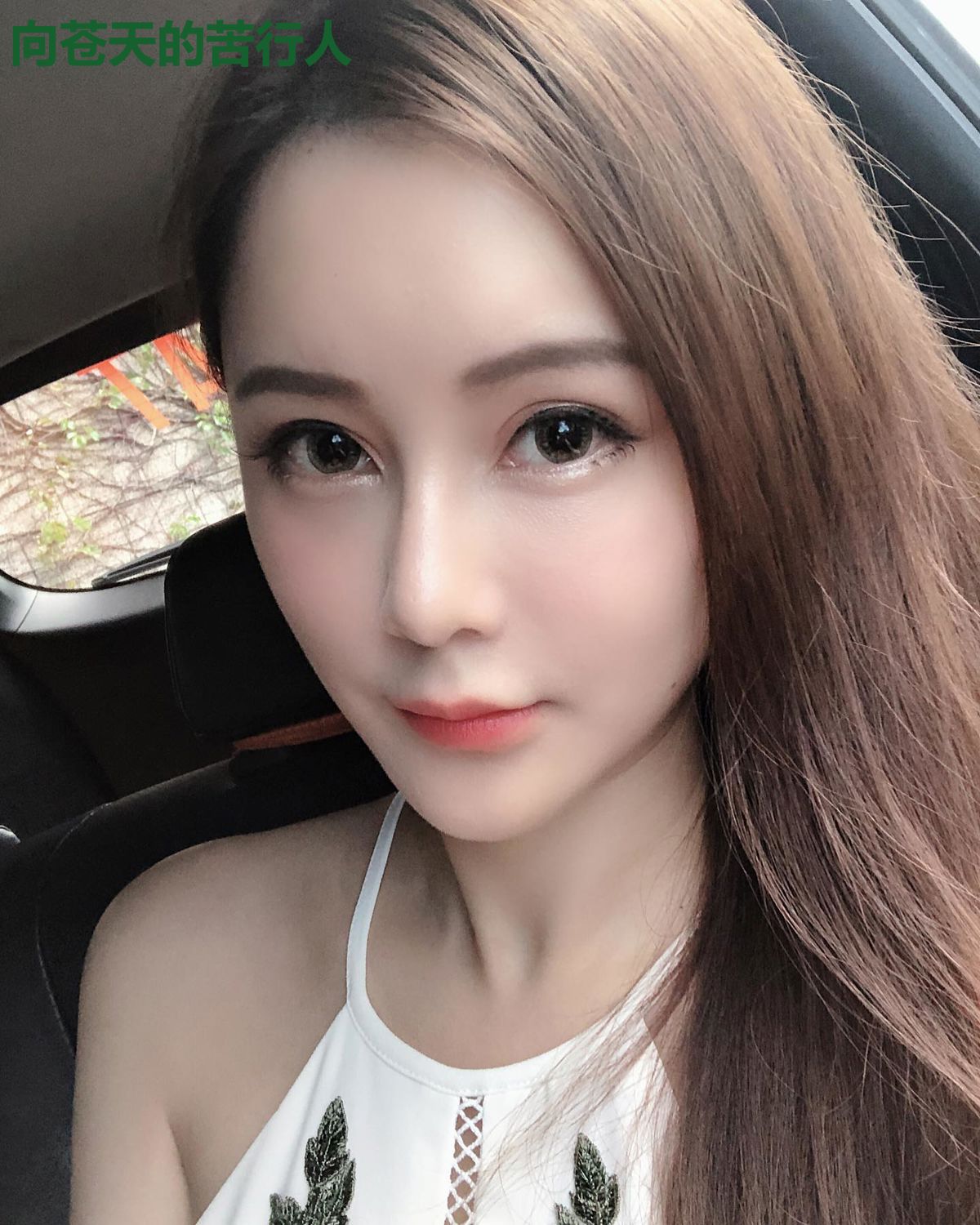 向苍天的苦行人