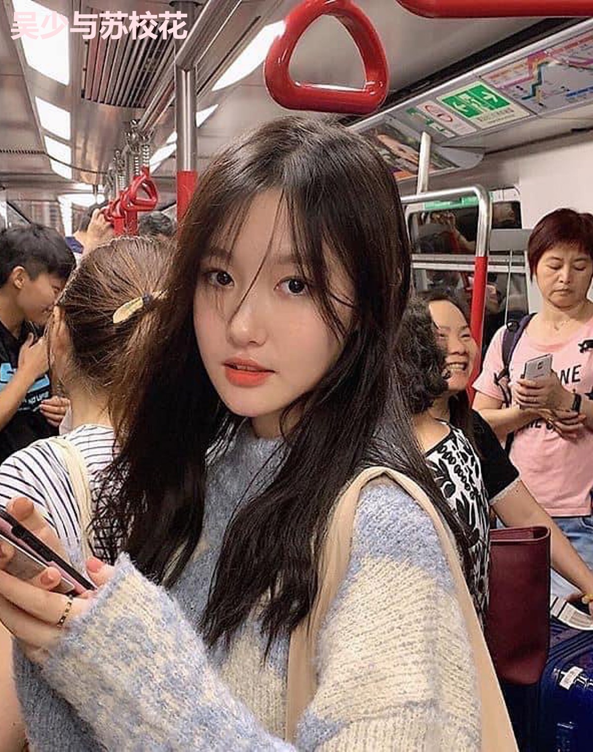 吴少与苏校花