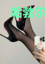 哈勃尔多格游记