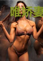 唯娇妻与萌宝难养也