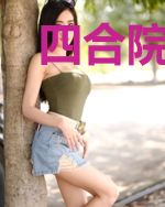 四合院:结局送贾张氏到精神病院