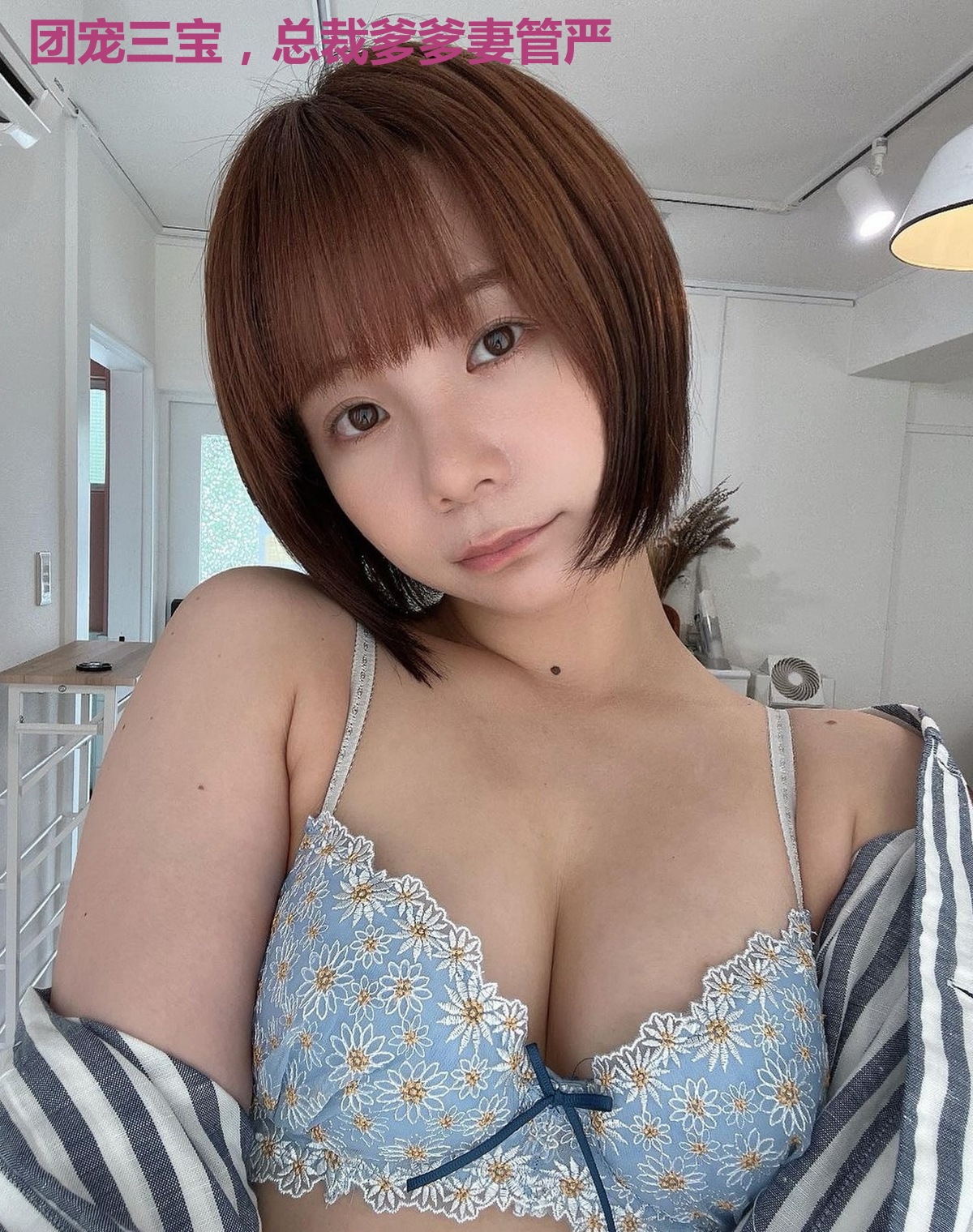 团宠三宝，总裁爹爹妻管严