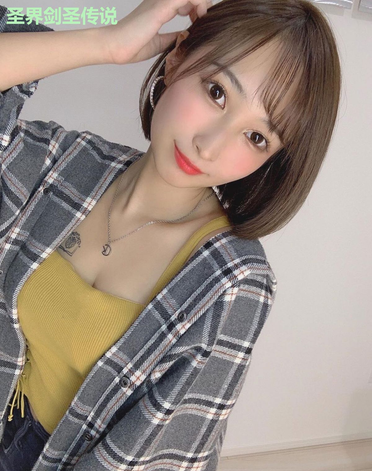 圣界剑圣传说