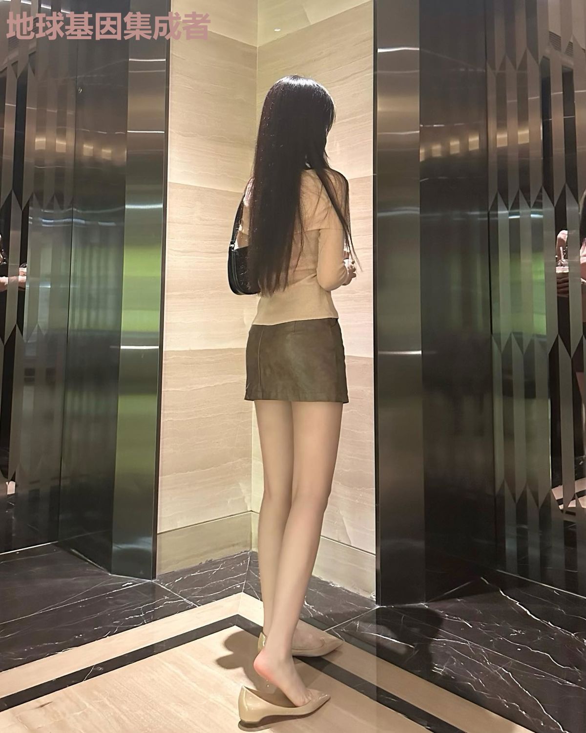 地球基因集成者