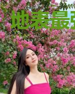 地表最强赘婿
