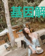 基因解码器