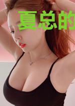 夏总的漫漫追妻路
