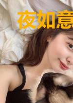 夜如意陆沉