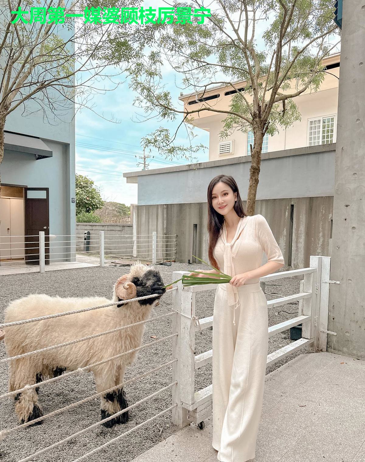 大周第一媒婆顾枝厉景宁