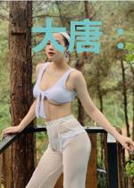 大唐:从小卒到西府赵王