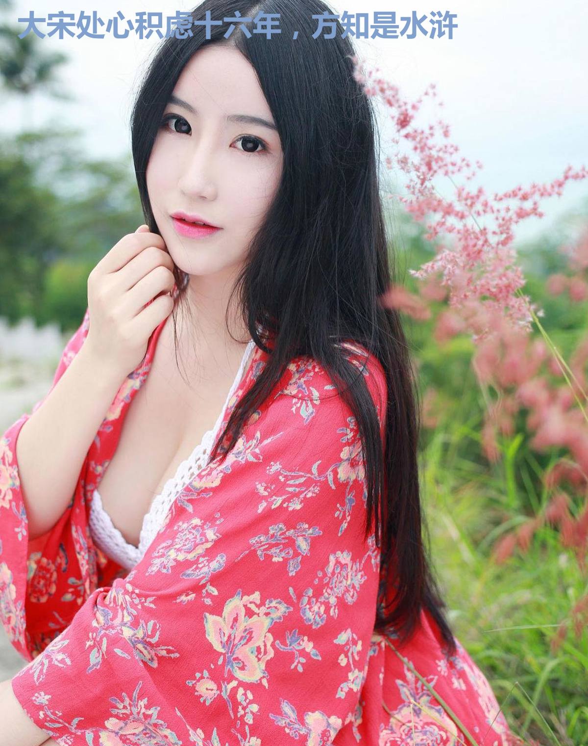 大宋处心积虑十六年,方知是水浒